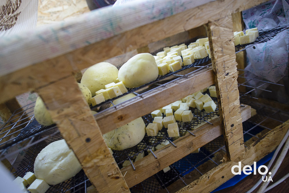 Війна та сир: як ветеран АТО відкрив сімейну сироварню Cheesegard